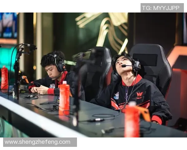 WE在世界冠军杯中的技术表现分析与点评探讨